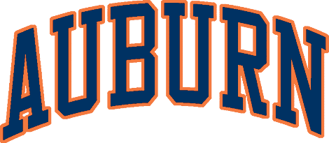 Auburn Tigers 1979-1996 Wordmark Logo iron on transfers for clothing
